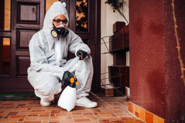 Reliable Ant Control contractor in Fox Lake, WI by Show Me Pest Control
